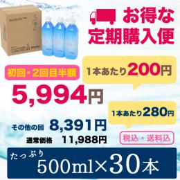 【定期購入】ナノバブル水素水 ペットボトル 500ml/30本セット